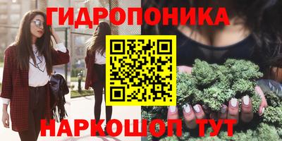 Альфа ПВП Аргун
