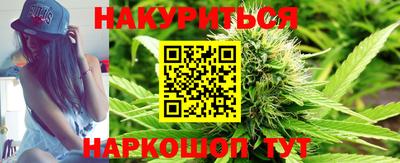Альфа ПВП Аргун